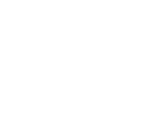 Cloud Nine Busines Consulting logo